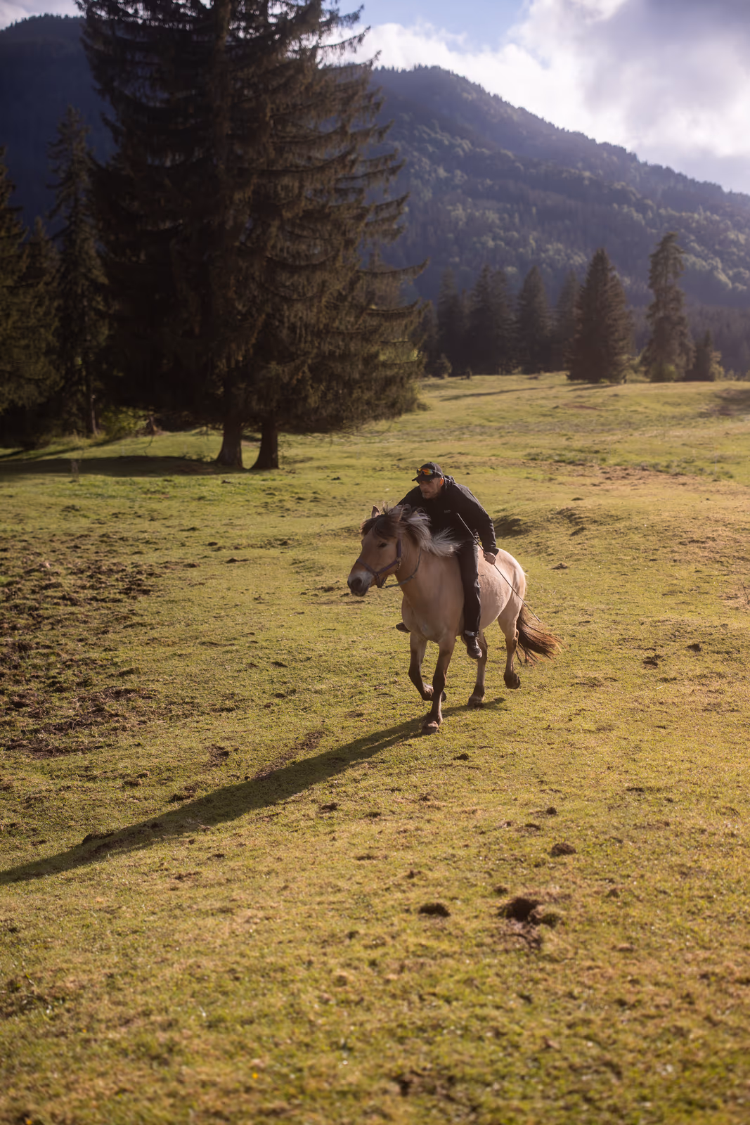 Aaron Schwägerl reitet sein Pferd im Galopp über eine Bergwiese